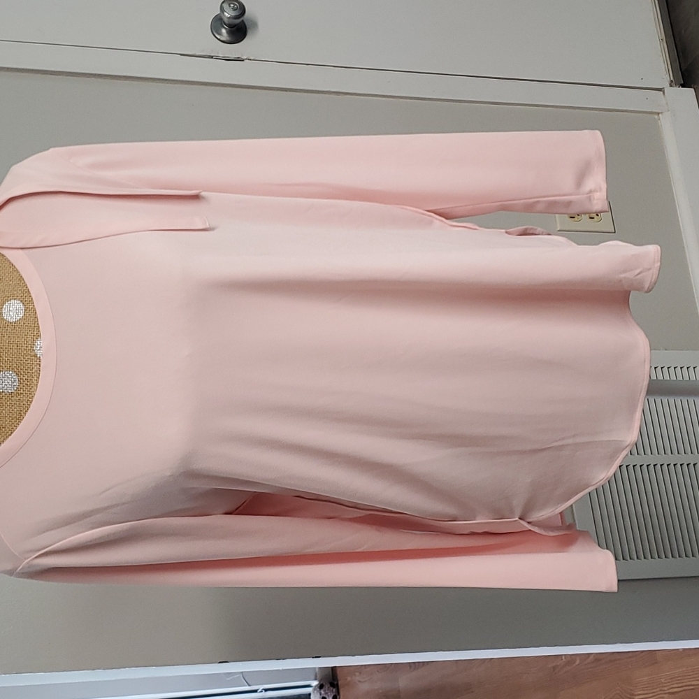 Banana Republic NWT blush top. Large.
